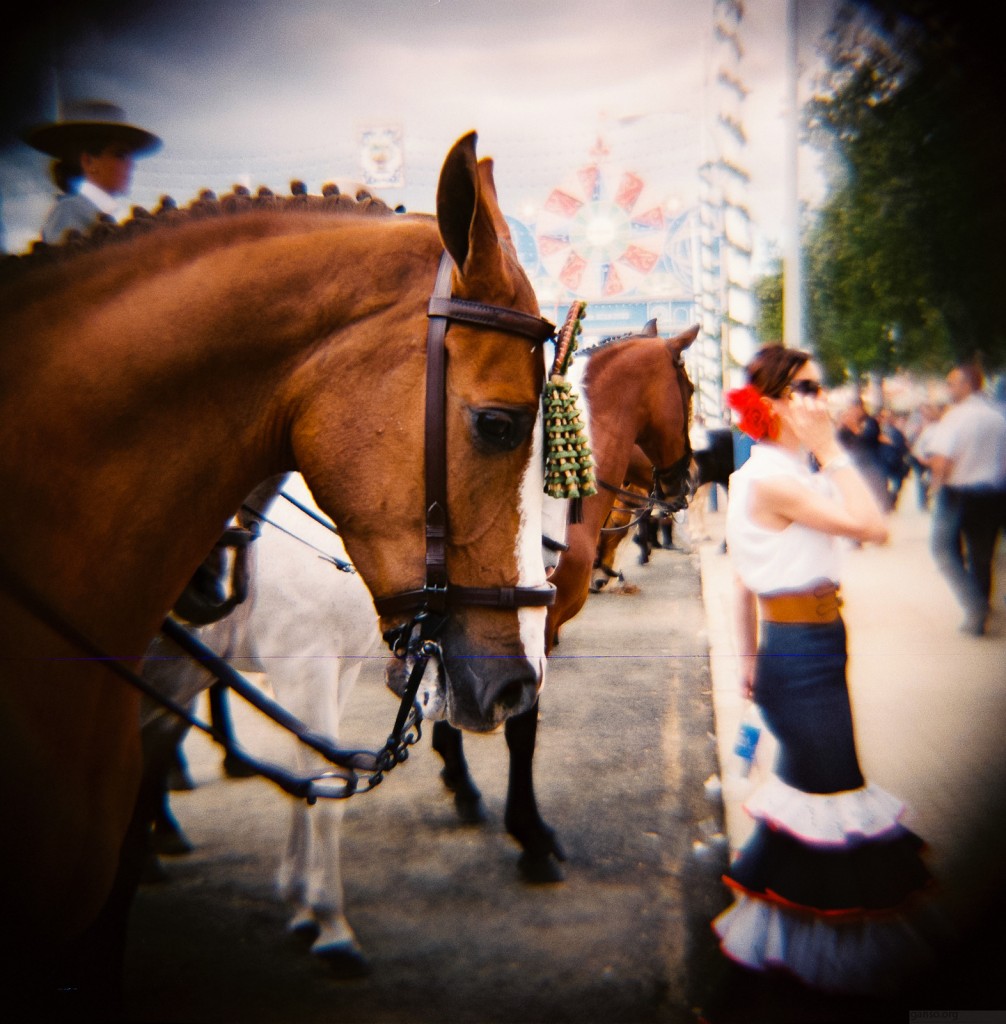 Pura Raza Flamenca